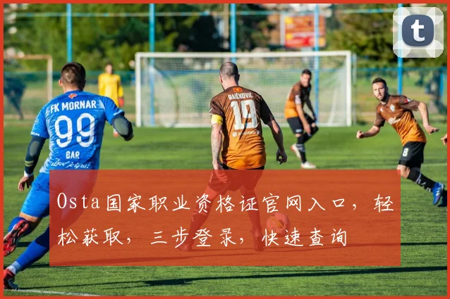 Osta国家职业资格证官网入口，轻松获取，三步登录，快速查询