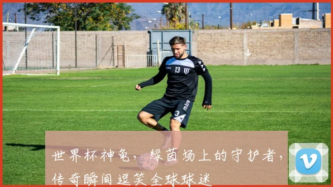 世界杯神龟，绿茵场上的守护者，传奇瞬间逗笑全球球迷
