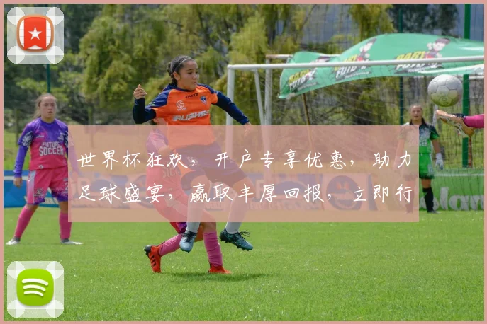 世界杯狂欢，开户专享优惠，助力足球盛宴，赢取丰厚回报，立即行动