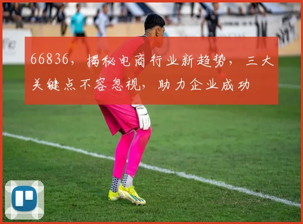 66836，揭秘电商行业新趋势，三大关键点不容忽视，助力企业成功